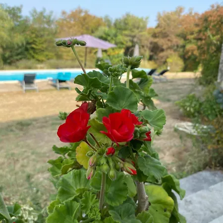 Prázdninový dům La Taniere Classe 3 Etoiles Avec Terrasse Et Piscine