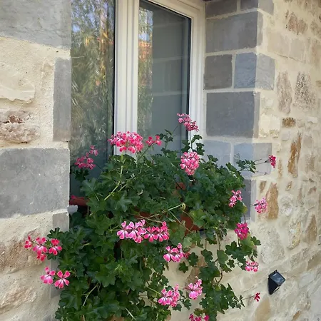 La Taniere Classe 3 Etoiles Avec Terrasse Et Piscine La Bachellerie